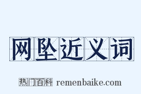 网坠近义词是什么意思的图片